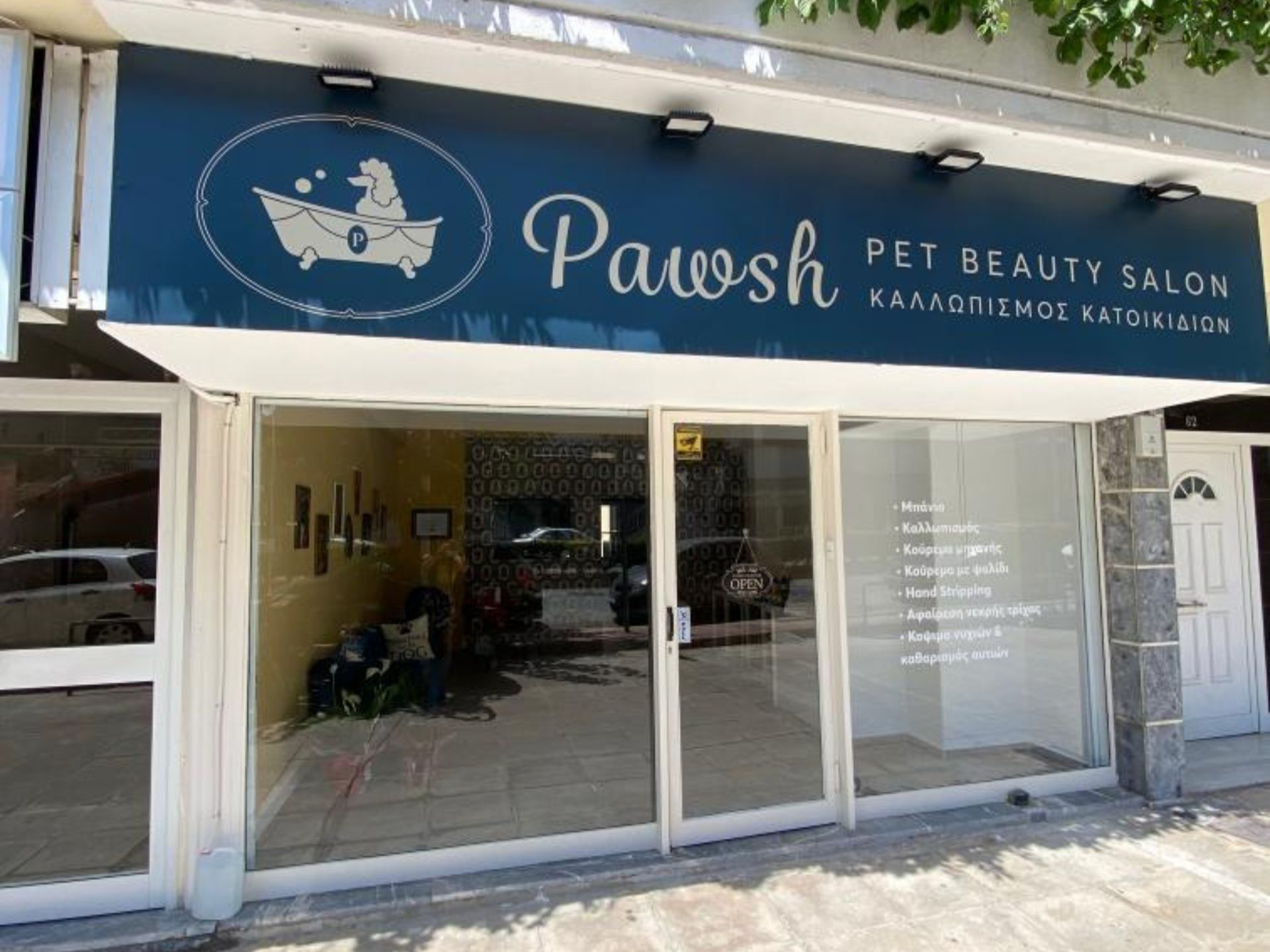 Σκυλάκι που ποζάρει χαρούμενο μετά τον καλλωπισμό στο Pawsh