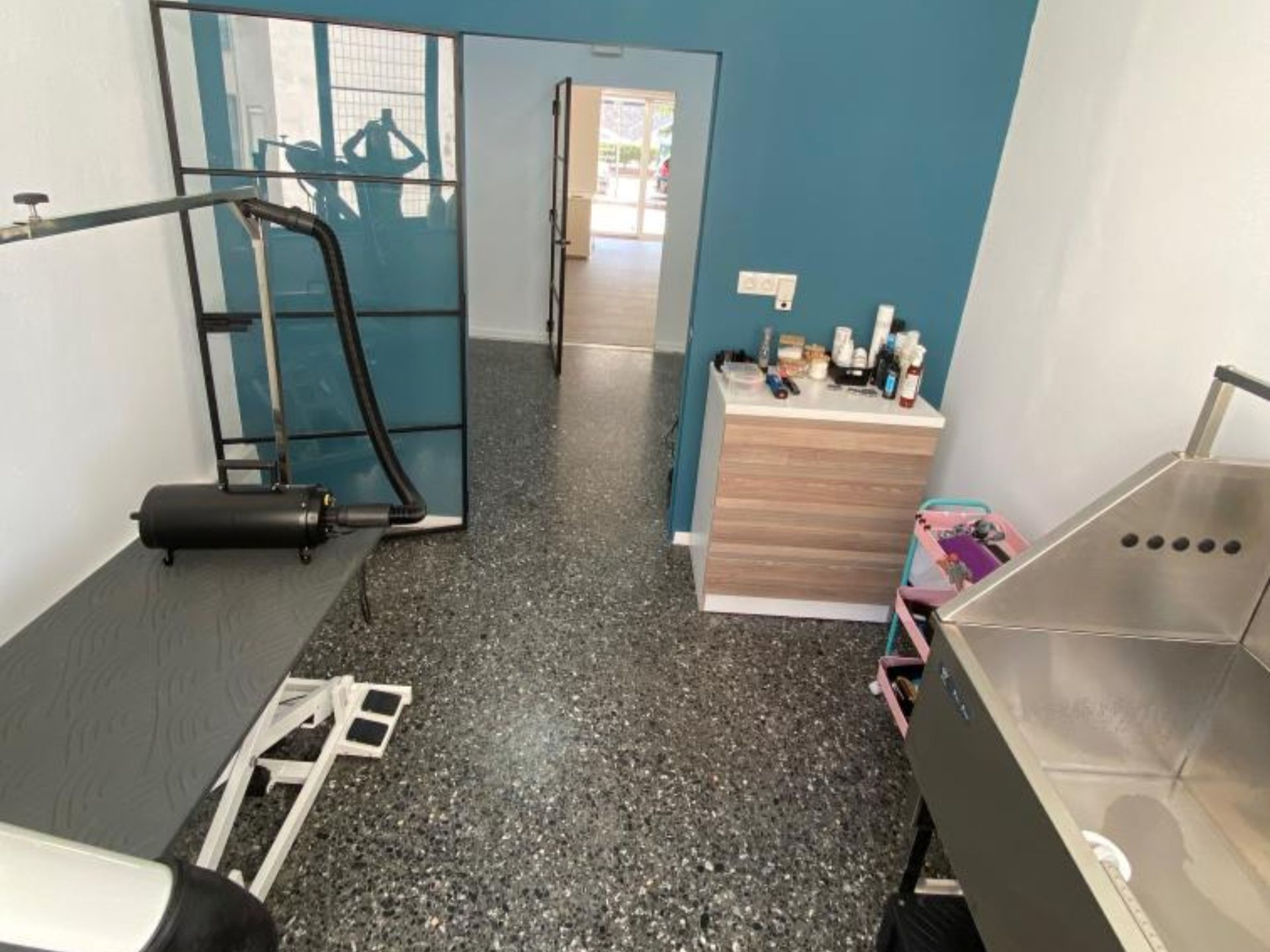 Λουσάτος σκύλος με μπλε φουλάρι μέσα στο σαλόνι του Pawsh