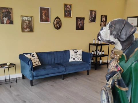 Χαριτωμένο κουτάβι στην αγκαλιά groomer στο Pawsh