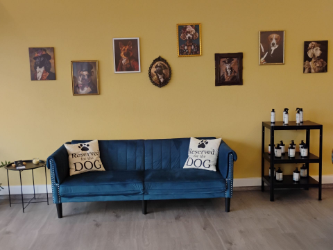 Σκυλάκι που στεγνώνει με πετσέτα στο Pawsh