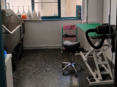 Σκύλος που απολαμβάνει μπάνιο αφρού στο Pawsh